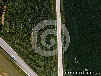 Top down aerial view of agricultural fields corn. road. summer day. Bologna. Italy Stock Photo