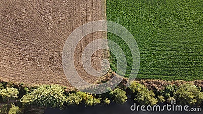 Separation and contrast between a harvested field and a plowed field in rural agricultural farmland, Stock Photo