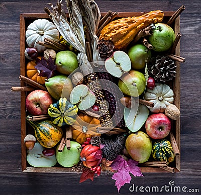 Top down view of an assortment of autumn fruits and decorations. Stock Photo