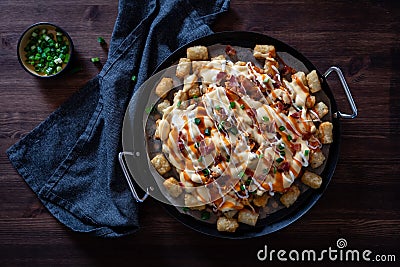 Top down view of tater tot poutine fresh out of the oven, ready for sharing. Stock Photo