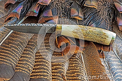 Top down view of unique knife on turkey feathers Stock Photo