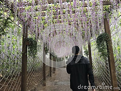 The top of the head is a flower path Editorial Stock Photo