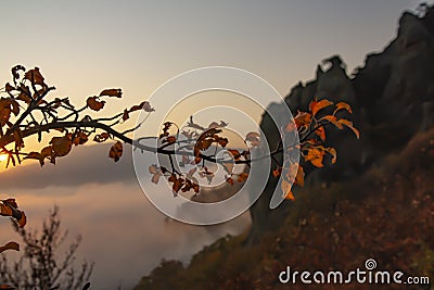 Top of a mountain above the clouds. Freedom before gravity Stock Photo