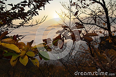 Top of a mountain above the clouds. Freedom before gravity Stock Photo