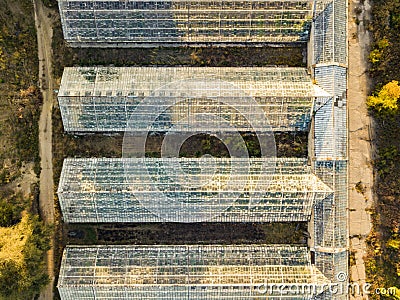 Top overhead view of organic greenhouse farm texture background f Stock Photo