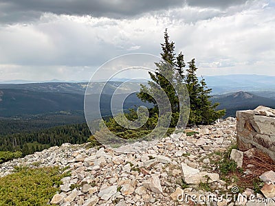 Top of Peak in Medicine National Forest Near Saratoga Wyoming at War With Trees and Rocky Mountain Stock Photo