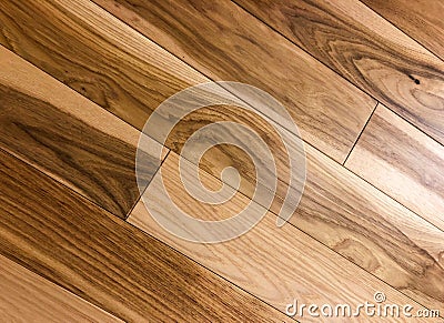 Hardwood. Stock Photo