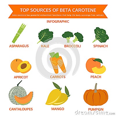 Top sources of beta carotene, food info graphic, vector Vector Illustration