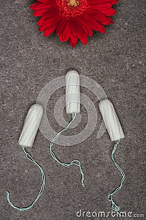 Top view of arranged menstrual tampons and red flower Stock Photo