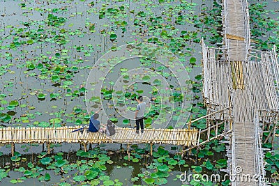 Top view of Asian tourists enjoy taking pictures on bamboo bridge over river with many lotuses. Happiness couple spending time Stock Photo