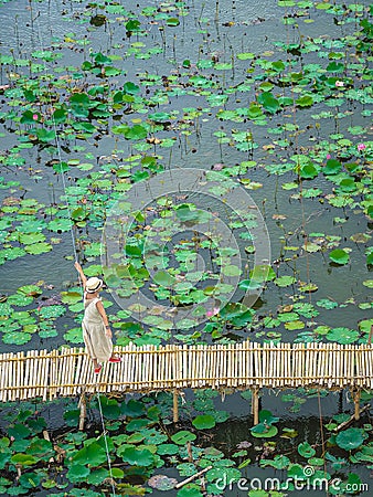 Top view of Asian tourists enjoy taking pictures on bamboo bridge over river with many lotuses. Happiness female spending time Stock Photo