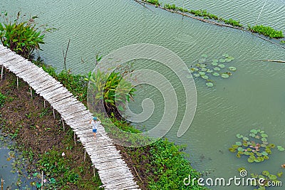 Top view of Asian tourists enjoy walking on bamboo bridge over river with many lotuses in countryside. Happiness young girl Stock Photo