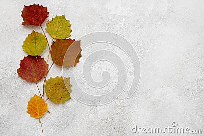 top view assortment autumn leaves. High quality photo Stock Photo