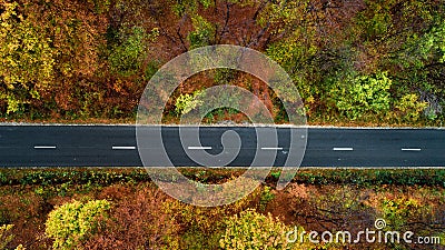 Top view of autumn forest with straight asphalt roads Stock Photo