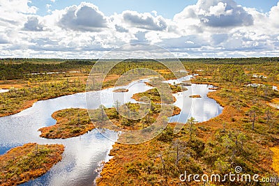 Top view of autumn landscape. Huge bog in Estonia Stock Photo