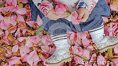 Top view baby girl seating on ground covered in pink petals, in stripy tights, blue skirt and silver shoes, holding camelia flower Stock Photo