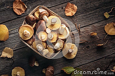 Top view basket filled with edible forest mushrooms Suillus on a wooden table Stock Photo