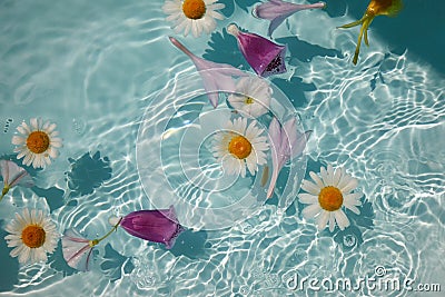 Top view of bath filled with flowers spa or selfcare concept Stock Photo