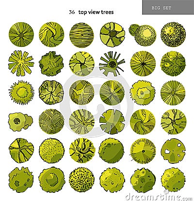 Top view big vector set of different trees.Hand drawn illustration for landscape design, plan, maps.Collection of trees Vector Illustration