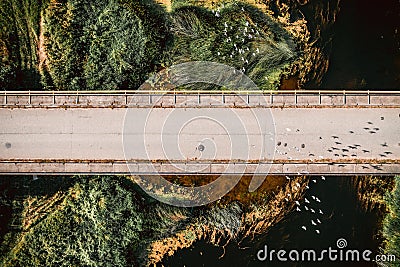 Top view birds flying above bridge. Aerial photo. Stock Photo