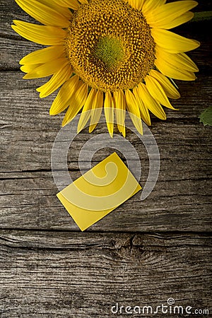 Top view of blank yellow greeting card and a beautiful blooming Stock Photo