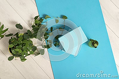 Top view of bluey yoga mat, bottle with water, yoga bricks and green plant. Workout at home. Stretching tools. Fitness Equipment Stock Photo