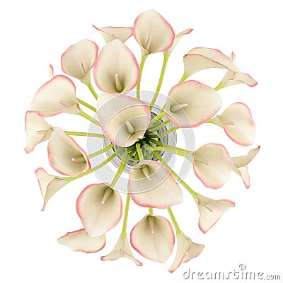 Top view bouquet of calla lilies in glass vase isolated on white Stock Photo