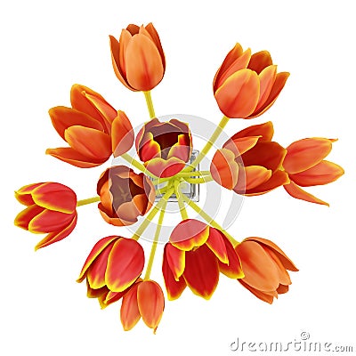 Top view bouquet of orange tulips in vase isolated on white Stock Photo