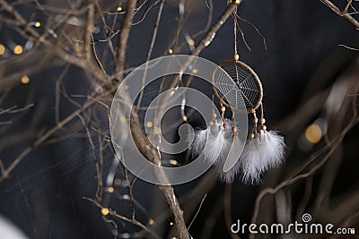 The top view on branches of trees and among them there is Dreamcatcher against a dark background Stock Photo