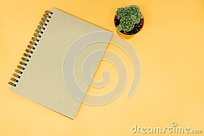 top view business table background with notebook and cactus place on yellow table. image for copy space, desktop, workplace, work Stock Photo