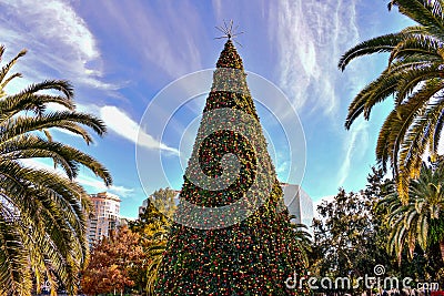 Top view of Christmas Tree and palm trees in Lake Eola Park area at Orlando Downtown 1 Editorial Stock Photo