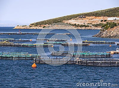 Top view from the cliffs of the Aegean sea and a fish farm on the Greek island of Evia in Greece on a Sunny day Stock Photo