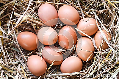 Top view close-up many fresh eggs on wooden straw background Stock Photo