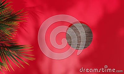 Top view with colorful background snd tree stand or podium on advertising display with blank backdrops. 3D rendering Stock Photo