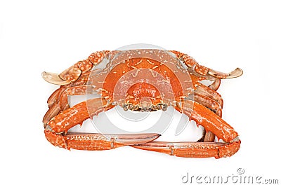 Top view Cooked blue swimmer crab or Sand crab Stock Photo