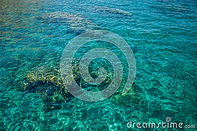 Top view coral bottom of Red sea clean nature tropic scenic landscape background view through transparent water Stock Photo