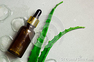 Top view cosmitic product brown glass bottle with aloe vera and ice an Stock Photo