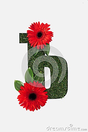 Top view of cyrillic letter with natural grass on background and red gerberas with green leaves isolated on white. Stock Photo