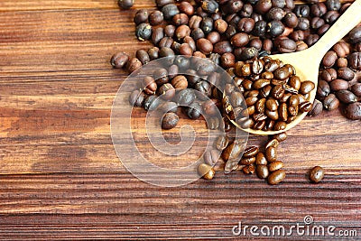 Top view dried coffee beans with roasted coffee beans .coffee beans on wood spoon on brown wood floor. Stock Photo