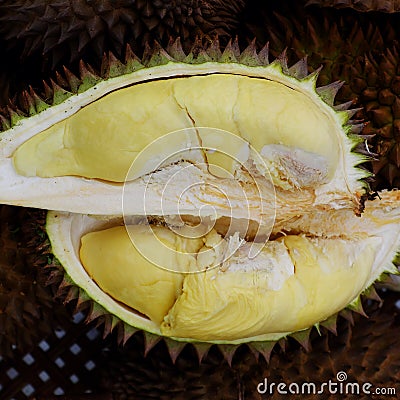 Durian fruit with yellow pulp, popular tropical fruits from agriculture product at Vietnam Stock Photo