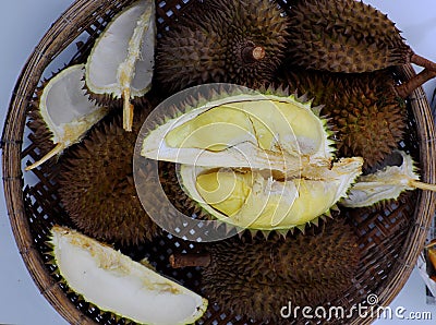 Durian fruit with yellow pulp, popular tropical fruits from agriculture product at Vietnam Stock Photo