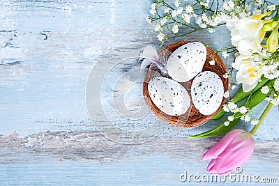 Top view of easter eggs in a nest. Spring flowers and feathers over blue rustic wood background. Stock Photo