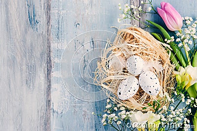 Top view of easter eggs in a nest. Spring flowers and feathers over blue rustic wood background. Stock Photo