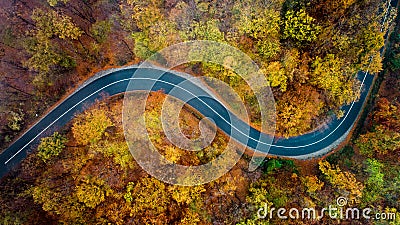 Top view of empty forest road with autumn colors Stock Photo