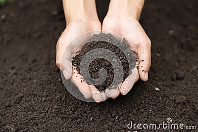 Top view. Farmer holding soil in hands. The researchers check the quality of the soil. Agriculture, gardening or ecology concept Stock Photo