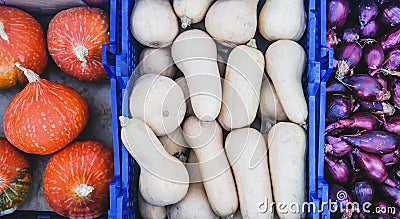 Top view of Farmers Market stall selling organic vegetables. Japanese Hokkaido pumpkins, butternut squash, purple onions Stock Photo