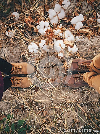 Top view of feet of young couple on cotton field Stock Photo