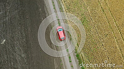 Top view of a field with wheat and a red car moving on the rural road. Stock Photo