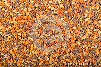 Background image lentils for bean soup Stock Photo