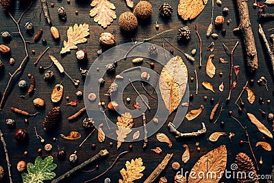 Top view flat lay fall season decorative arrangement Stock Photo